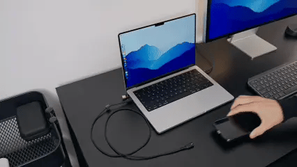 One cable. Every device on your desk.