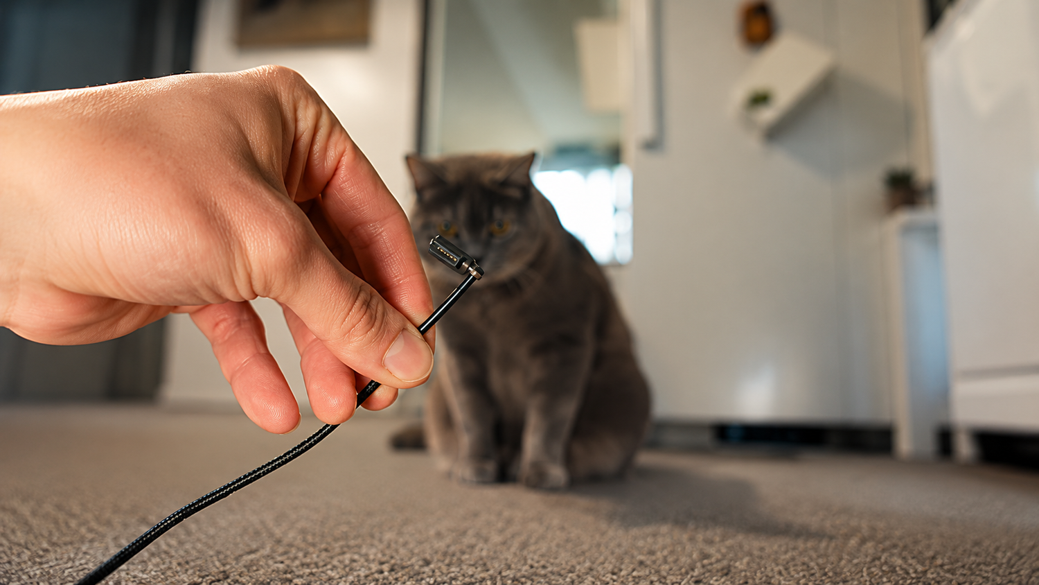 Magnetic Charging for Pet Owners: Protect Your Devices from Curious Pets