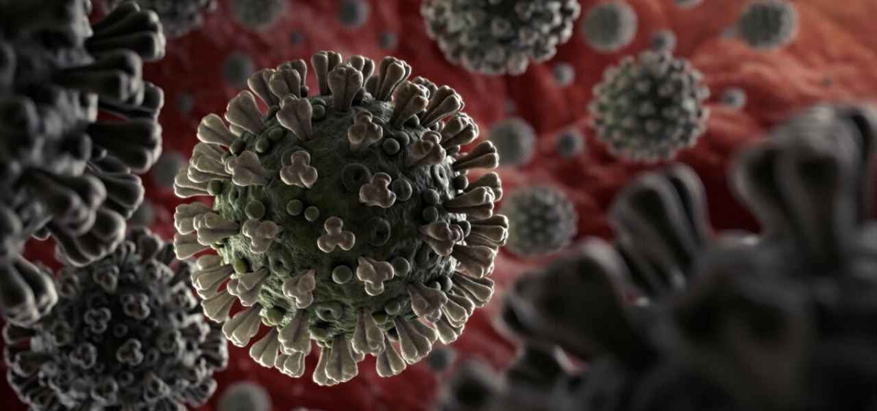 CORONAVIRUS UPDATE: WE ARE TOGETHER IN THIS